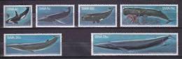 South West Africa - 1980 - Whales - Complete Set - Wale