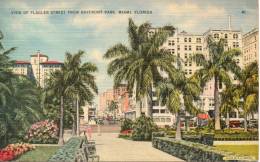 Etats Unis. Miami Flagger Street - Miami
