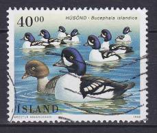 Iceland 1996 Mi. 841    40.00 Kr Vogel Bird Spatelente - Gebraucht
