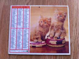 Calendrier Grand Format 1982 OLLER Le Plus Doux A Toujours Des Griffes A La Patte FLORIAN - Big : 1981-90