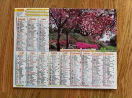 Calendrier Grand Format 1991 OLLER PARC FLEURI  CHEVAUX Photo ZEFA France Hubert TRES BON ETAT - Big : 1991-00