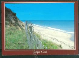 Cpsm Gf -     Cap Cod National Seashore , Cape Cod Massachusetts - Ac6213 - Cape Cod