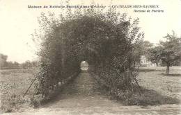 CHATILLON SOUS BAGNEUX - MAISON DE RETRAITE SAINTE ANNE D'AURAY - BERCEAU DE POIRIERS - Châtillon