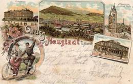 Gruss Aus Neustadt A/d Haardt Double Seat Bike 1898 Postcard - Neustadt (Weinstr.)