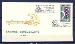 BRASIL, 21/02/1975 13 Festa Nacional Da Uva E Feiras Agro Industriais - CAXIAS  (GA3263) - Vinos Y Alcoholes