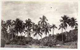 Buenaventura Columbia Old Postcard - Colombia