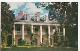 BR25424 The Oak Alley Plantation   2 Scans - Sonstige & Ohne Zuordnung