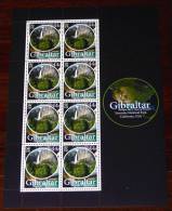 FACE VALUE!!! GIBRALTAR 2011 EUROPA CEPT BOSQUES FORESTS FORÊTS WALD Sheetlet Of 8x44p YOSEMITE PARK MNH ** - 2011