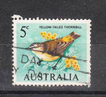 Australia   -   1931.  Passero Becco Giallo. Yellow  Tailed  Thornbill. - Pigeons & Columbiformes