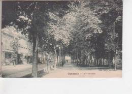 82.006/CAUSSADE - La Promenade - Caussade