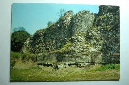 D 59 - Bavay - Site Archéologique - Le Mur Sud Et L'enceinte Antique - Bavay