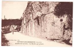 GEVREY CHAMBERTIN - Combe De Lavaux - La Roche Qui Pleure - Gevrey Chambertin