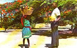 Kenscoff Haiti - W.I. - Basket Panier - Fruit Merchant - Marché Market - 2 Scans - Haïti