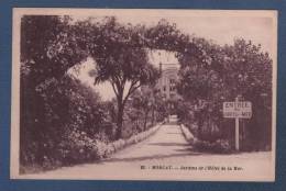 29 FINISTERE - CP MORGAT - JARDINS DE L'HOTEL DE LA MER - G. ARTAUD EDITEUR NANTES N°22 - Morgat