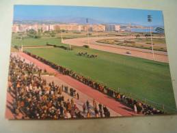 EL - HIPPODROME DE LA COTE D'AZUR...CAGNES SUR MER.. - Reitsport