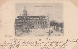 OLDENBURG -GERMANIA-   GROSSHERZOGLICHES SCHLOSS  VG 1900  BELLA FOTO D´EPOCA ORIGINALE 100% - Oldenburg