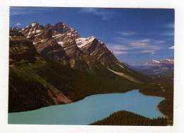 Carte Postale CANADIAN ROCKIES Looking North Along ROCKY MOUNTAIN Trench Above Bow Summit PEYTO LAKE GLACIER ROCHEUSES - Altri & Non Classificati