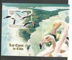 CUBA. Les Flamants Roses Des Cayo Coco.  Un BF Neuf ** - Flamingo's