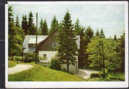 31986    Germania,    Kurort  Barenfels  Im  Osterzgebirge,  VG  1958 - Altenberg