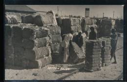 West Pakistan --- Cotton Bales - Pakistan