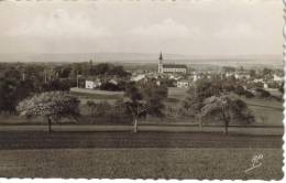 CPSM ROSNY SUR SEINE (Yvelines) - Vue Générale - Rosny Sur Seine