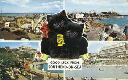 ETR - GB - Good Luck From SOUTHEND-ON-SEA - Multivues Avec Chats (with Cats) - Southend, Westcliff & Leigh