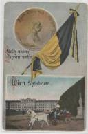 Austria - Wien - Schonbrunn - Royal Carriage - Franz Joseph Medal - Château De Schönbrunn