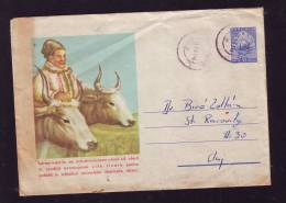 COWS FARM, 1961, COVER STATIONERY, ENTIER POSTAL, SENT TO MAIL,VERY RARE, ROMANIA - Kühe