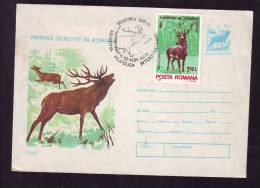 DEER 1982 VERY RARE STAMPS ON COVER STATIONERY OBLIT.CONCORDANTE ROMANIA. - Gibier