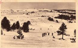 66 FONT ROMEU - Skieurs Sur Les Pentes Près De L'Ermitage - Otros & Sin Clasificación