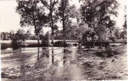 BRINON SUR SAULDRE   La Passerelle - Brinon-sur-Sauldre