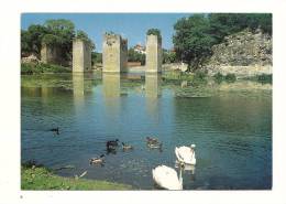 Cp, 86, Lussac-les-Châteaux, L'étang Et Restes Du Pont De L'ancien Château, Voyagée 1988 - Lussac Les Chateaux