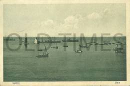 PORTUGAL - SINES - BAIA 1930 PC. - Setúbal