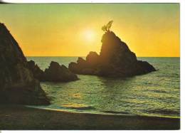 Cartolina Tramonto-palmi - Tegenlichtkaarten, Hold To Light