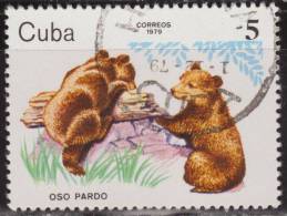 Cuba 1979 Scott 2295 Sello * Fauna Animales De Zoo Oso Pardo Brown Bear (Ursus Arctos) Michel 2443 Yvert 2160 Stamps - Ongebruikt