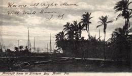 Miami Fl Moonloght Scene On Biscayne Bay 1905 Postcard - Miami