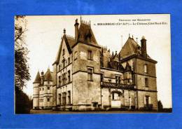 17 MIRAMBEAU  LE CHATEAU COTE NORD EST - Mirambeau