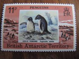 6-090 Penguin Manchot  Adélie South Polor Antarctica Antarctique Pole Sud  Terre Adélie TAAF - Pingouins & Manchots