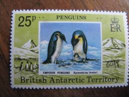6-093 Penguin Manchot Empereur  South Polor Antarctica Antarctique Pole Sud Terre Adélie TAAF - Pingouins & Manchots
