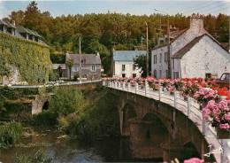 LA GACILLY     LE PONT - La Gacilly