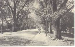 Marche: Allée Du Monument - Marche-en-Famenne