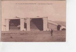 83.054/ C.A.M.  De CUERS - PIERREFEU - Les Hangars à Dirigeables - Cuers