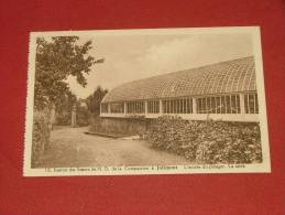 JOLIMONT  - Etablissement Des Soeurs De Notre Dame De La Compassion -  L´entrée Du Potager . La Serre - La Louviere