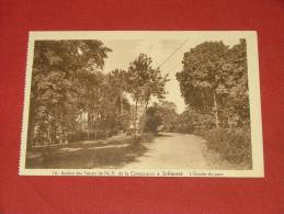 JOLIMONT  - Etablissement Des Soeurs De Notre Dame De La Compassion -  L´entrée Du Parc - La Louvière