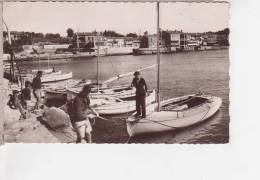 83.124/ LES LECQUES De St CYR - Le Port Cpsm - Les Lecques