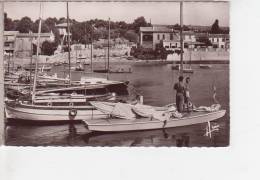 83.125/ LES LECQUES De St CYR - Le Port Cpsm - Les Lecques