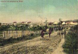 Pologne- Poland        Brésil  Village Colonial  Polonais Au Brésil     (Voir Scan) - Poland