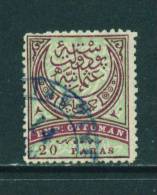 TURKEY - 1876 Issues  20pi  Used As Scan - Gebruikt