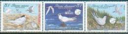 Nouvelle Calédonie / New Caledonia 2009 - Sternes Menacés / Threatened Terns - MNH - Seagulls
