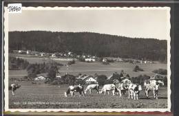 LA JONCHERE ET LES HAUTS GENEVEYS  - TB - Geneveys